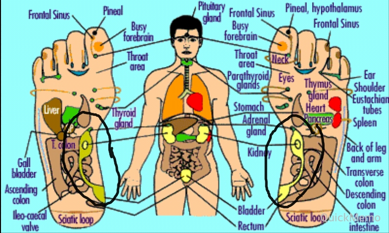 Hidup Adalah Perjuangan: Tips Mengatasi Anyang-Anyangan Secara Cepat ...